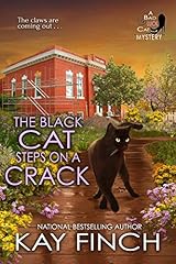 Black cat steps for sale  Delivered anywhere in USA 