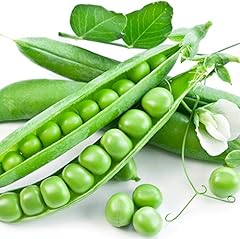 Earthcare seeds peas for sale  Delivered anywhere in USA 