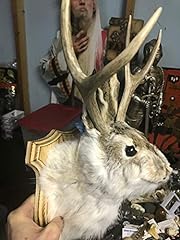 Jackalope shoulder head for sale  Delivered anywhere in USA 