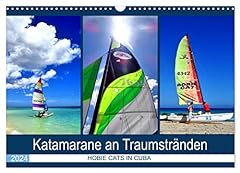 Catamarans dream beaches for sale  Delivered anywhere in USA 