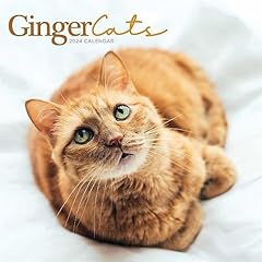 Ginger cats rothaarige gebraucht kaufen  Wird an jeden Ort in Deutschland