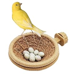 Foiburely bird breeding for sale  Delivered anywhere in USA 