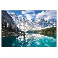 Enovoe puzzles adults for sale  Delivered anywhere in USA 