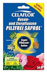Celaflor rosen zierpflanzen gebraucht kaufen  Wird an jeden Ort in Deutschland