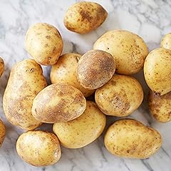 Seed potatoes maris for sale  Delivered anywhere in UK