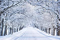 Winter pictures wall for sale  Delivered anywhere in USA 