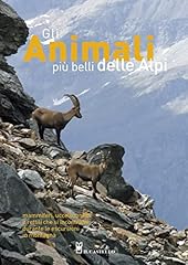 Gli animali più usato  Spedito ovunque in Italia 