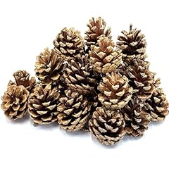 Pcs christmas pine for sale  Delivered anywhere in USA 