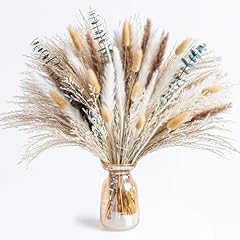 Pampas grass decor for sale  Delivered anywhere in USA 