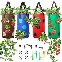 Piece upside strawberry for sale  Delivered anywhere in USA 