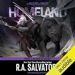 Homeland legend drizzt for sale  Delivered anywhere in USA 