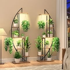 Bacekoll plant stand for sale  Delivered anywhere in USA 