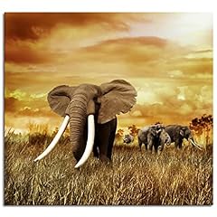 Elephant tusker colorful for sale  Delivered anywhere in USA 