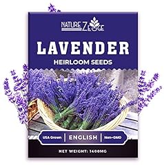 1400 english lavender for sale  Delivered anywhere in USA 