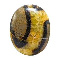 Septarian palm stone for sale  Delivered anywhere in USA 