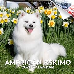2025 2026 american for sale  Delivered anywhere in USA 