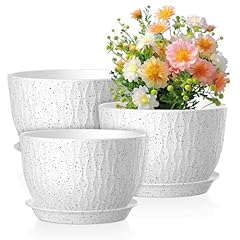 Meowell inch large for sale  Delivered anywhere in USA 