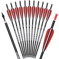 Archery bulloni balestra usato  Spedito ovunque in Italia 