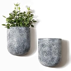 Jolie muse wall for sale  Delivered anywhere in USA 