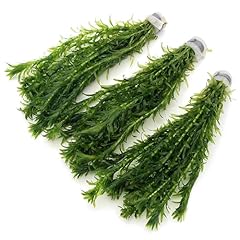 Elodea densa stems for sale  Delivered anywhere in UK