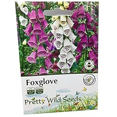 000 seeds perennial for sale  Delivered anywhere in UK