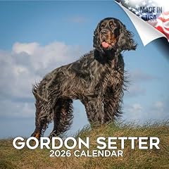 2025 2026 gordon for sale  Delivered anywhere in USA 