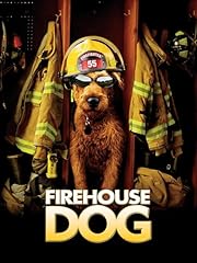Firehouse dog usato  Spedito ovunque in Italia 