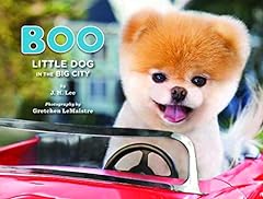 Boo little dog gebraucht kaufen  Wird an jeden Ort in Deutschland