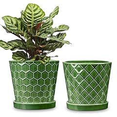 Buymax plant pots for sale  Delivered anywhere in USA 