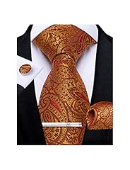 Dibangu paisley ties for sale  Delivered anywhere in USA 