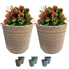 Traders nantucket plant for sale  Delivered anywhere in UK
