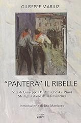 Pantera ribelle. vita usato  Spedito ovunque in Italia 