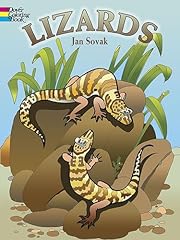 Lizards coloring book for sale  Delivered anywhere in USA 