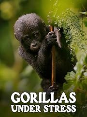 Gorillas stress for sale  Delivered anywhere in USA 