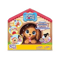 puppy magis d'occasion  Livré partout en France