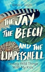 Jay beech limpetshell for sale  Delivered anywhere in UK