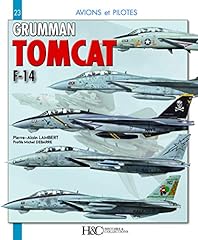 Grumman 14 tomcat d'occasion  Livré partout en France