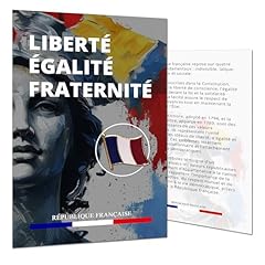 Pin drapeau tricolore d'occasion  Livré partout en France