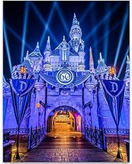 Disneyland sleeping beauty for sale  Delivered anywhere in USA 
