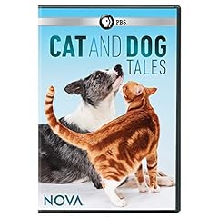 Nova cat dog for sale  Delivered anywhere in USA 