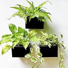 Lalagreen wall planter for sale  Delivered anywhere in USA 