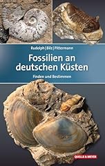 Fossilien deutschen küsten gebraucht kaufen  Wird an jeden Ort in Deutschland