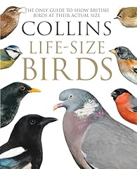 Collins life size for sale  Delivered anywhere in USA 