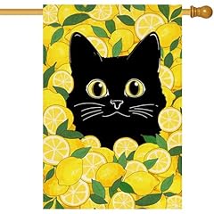 Baccessor summer funny for sale  Delivered anywhere in USA 