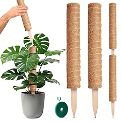 Pack moss pole for sale  Delivered anywhere in USA 