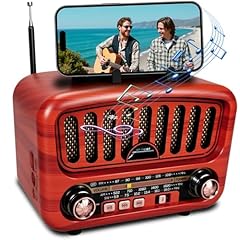 Radio portatile bluetooth usato  Spedito ovunque in Italia 