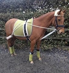 Cwell horse cob for sale  Delivered anywhere in UK