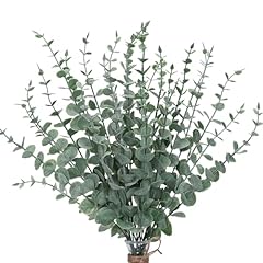 Cewor 24pcs eucalyptus for sale  Delivered anywhere in USA 