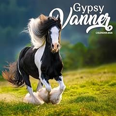 Gypsy vanner horses for sale  Delivered anywhere in USA 