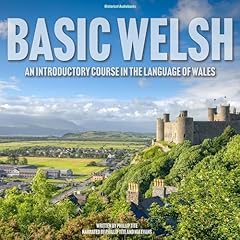 Basic welsh introductory for sale  Delivered anywhere in UK